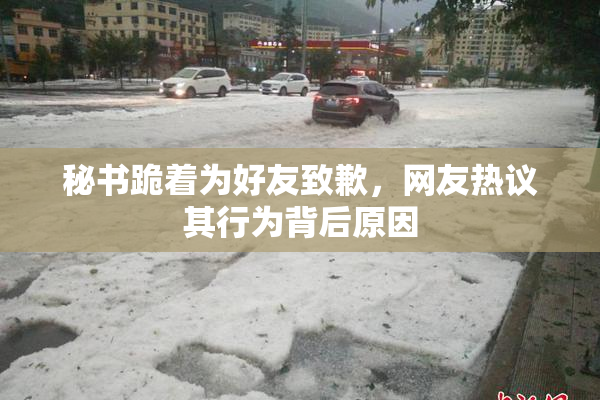 秘书跪着为好友致歉，网友热议其行为背后原因