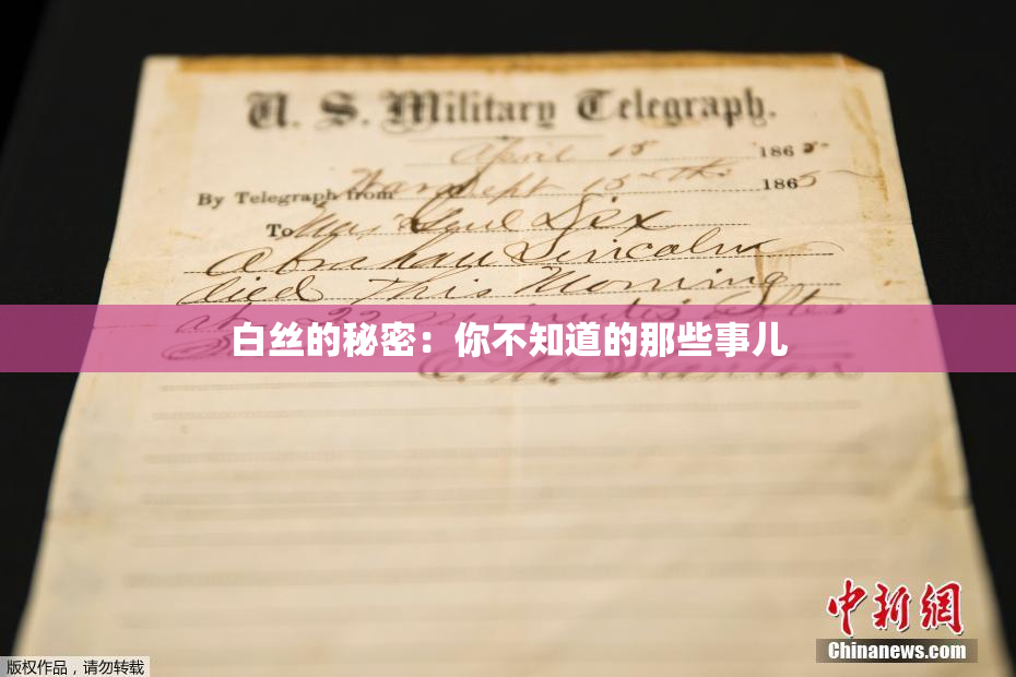 白丝的秘密：你不知道的那些事儿