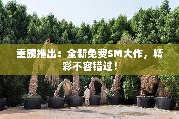 重磅推出：全新免费SM大作，精彩不容错过！