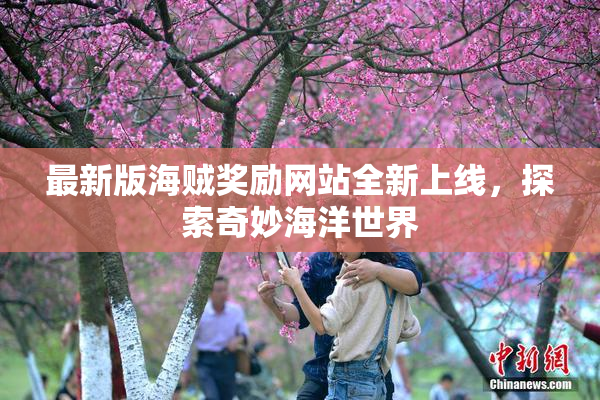 最新版海贼奖励网站全新上线，探索奇妙海洋世界