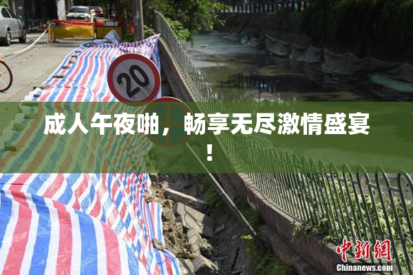 成人午夜啪，畅享无尽激情盛宴！