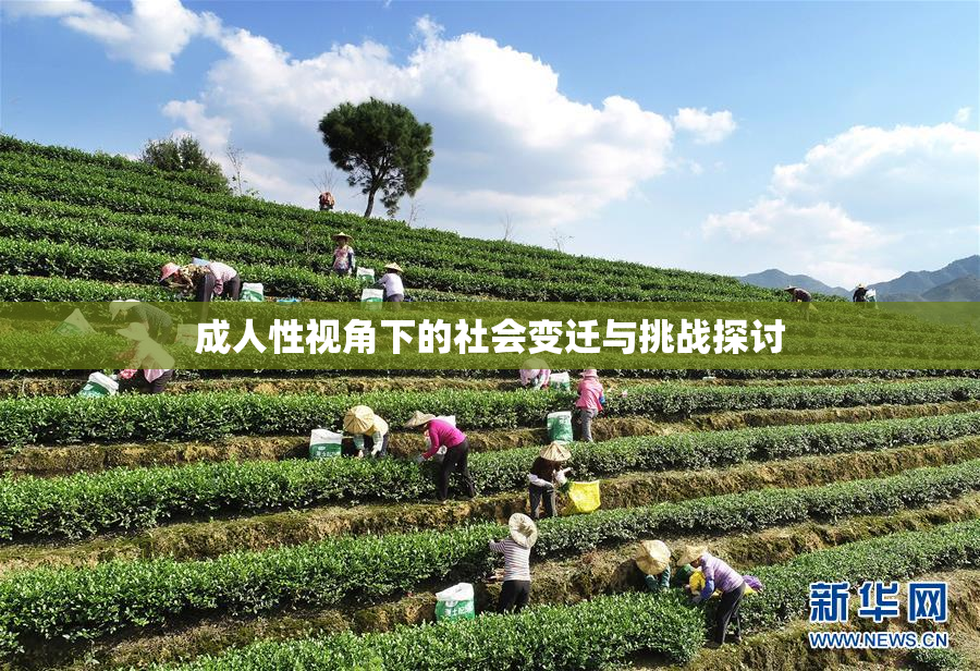 成人性视角下的社会变迁与挑战探讨