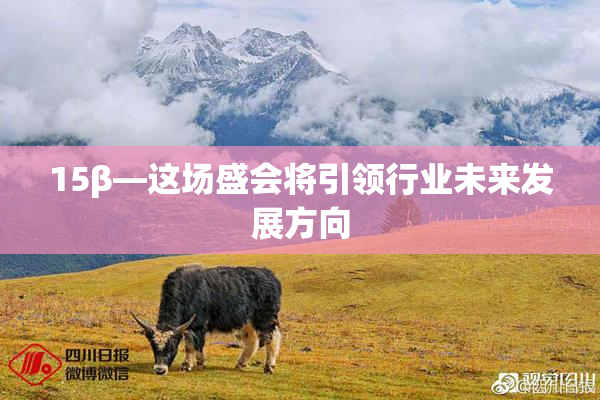 15β—这场盛会将引领行业未来发展方向