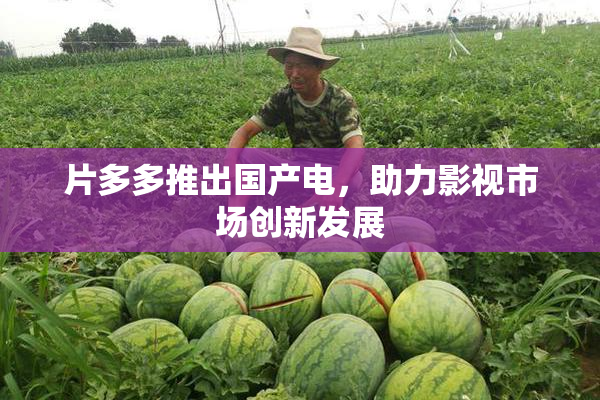 片多多推出国产电，助力影视市场创新发展