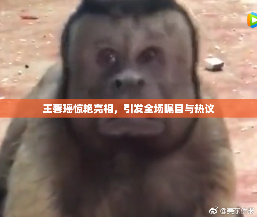 王馨瑶惊艳亮相，引发全场瞩目与热议