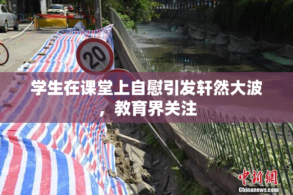 学生在课堂上自慰引发轩然大波，教育界关注