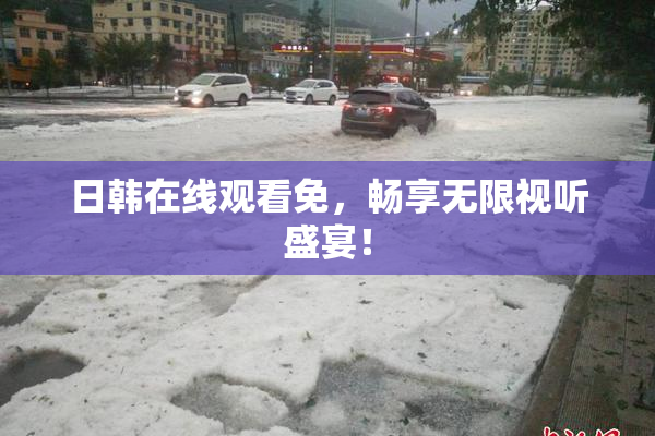 日韩在线观看免，畅享无限视听盛宴！