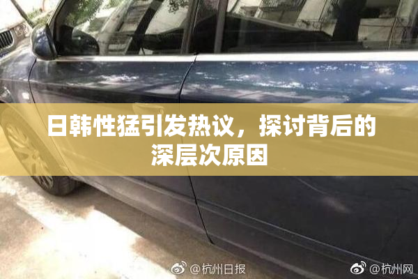 日韩性猛引发热议，探讨背后的深层次原因