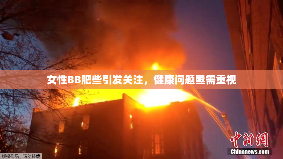 女性BB肥些引发关注，健康问题亟需重视