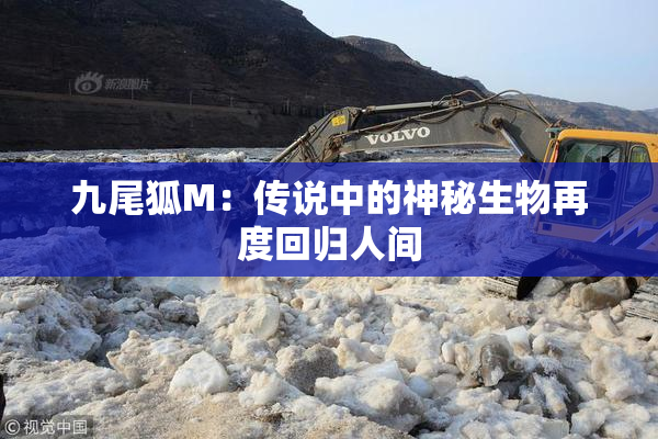 九尾狐M：传说中的神秘生物再度回归人间