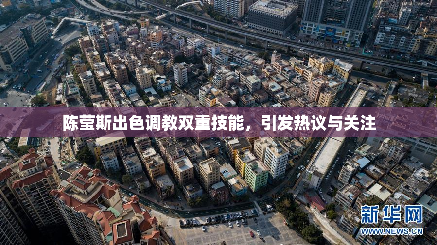 陈莹斯出色调教双重技能，引发热议与关注