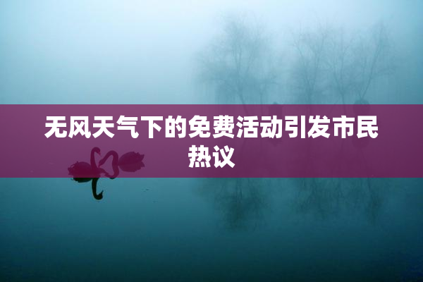 无风天气下的免费活动引发市民热议