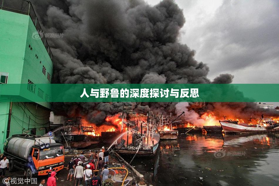 人与野鲁的深度探讨与反思
