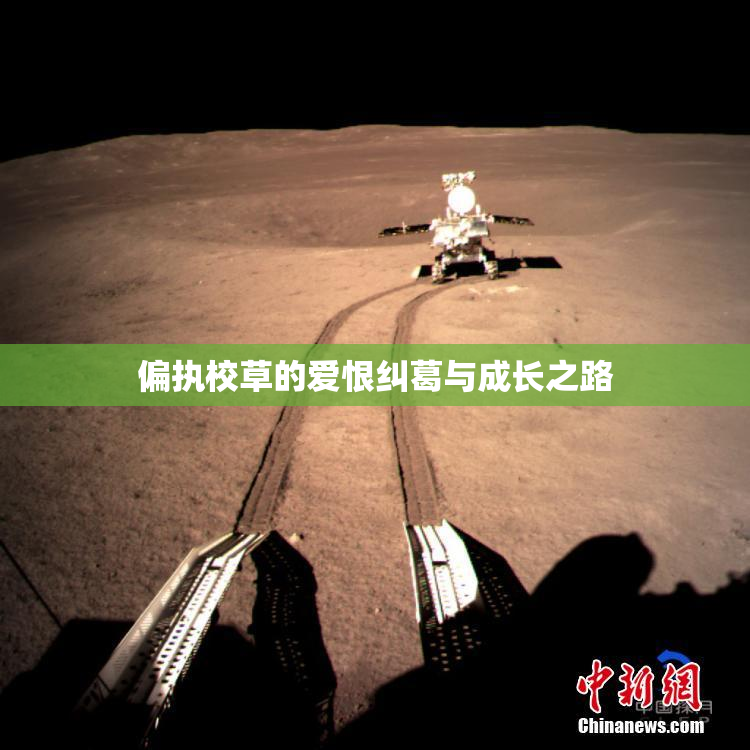 偏执校草的爱恨纠葛与成长之路