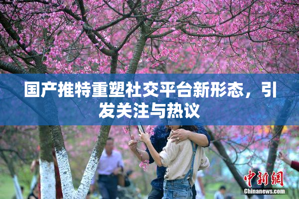 国产推特重塑社交平台新形态，引发关注与热议