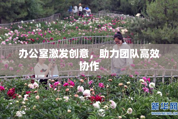办公室激发创意，助力团队高效协作