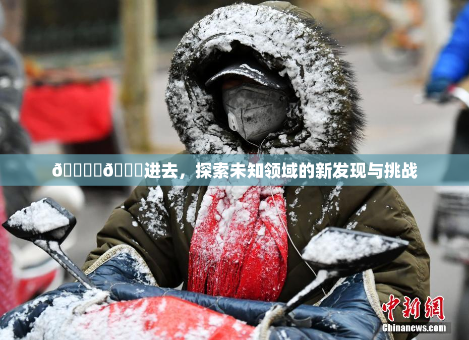 🔞‌🍌进去，探索未知领域的新发现与挑战
