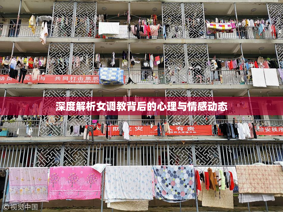 深度解析女调教背后的心理与情感动态
