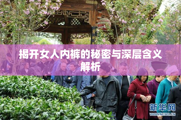 揭开女人内裤的秘密与深层含义解析