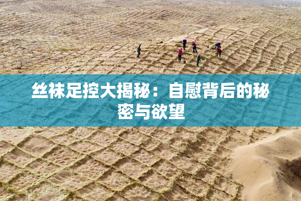 丝袜足控大揭秘：自慰背后的秘密与欲望