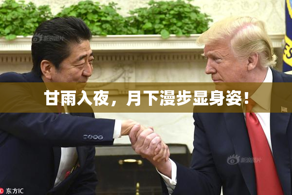 甘雨入夜，月下漫步显身姿！