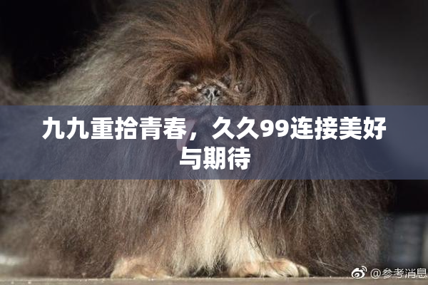 九九重拾青春，久久99连接美好与期待