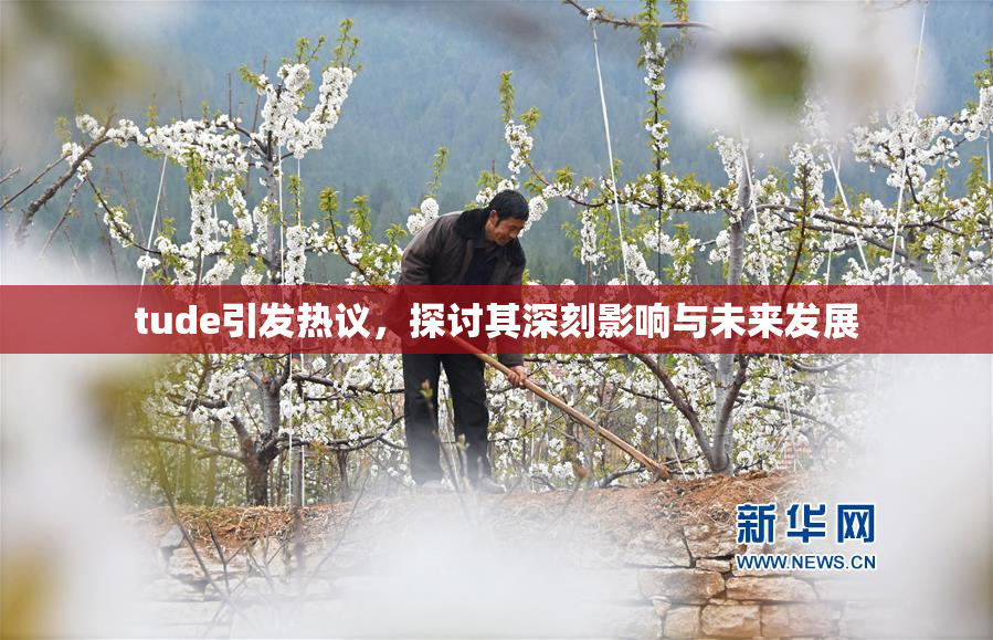 tude引发热议，探讨其深刻影响与未来发展