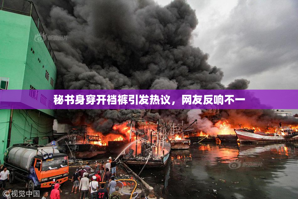 秘书身穿开裆裤引发热议，网友反响不一