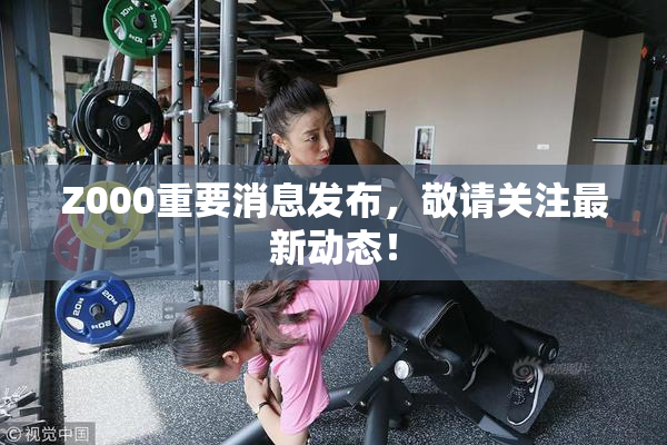 Z000重要消息发布，敬请关注最新动态！