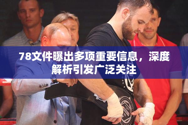 78文件曝出多项重要信息，深度解析引发广泛关注