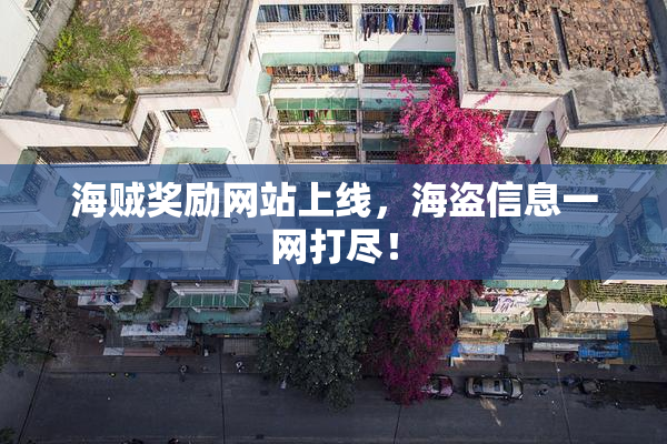 海贼奖励网站上线，海盗信息一网打尽！