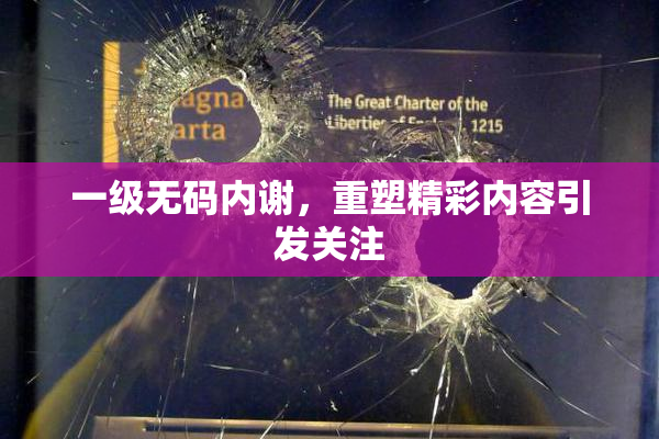 一级无码内谢，重塑精彩内容引发关注