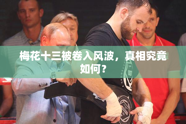 梅花十三被卷入风波，真相究竟如何？
