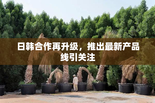 日韩合作再升级，推出最新产品线引关注