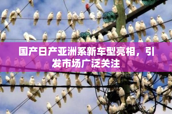 国产日产亚洲系新车型亮相，引发市场广泛关注