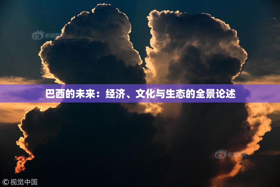 巴西的未来：经济、文化与生态的全景论述