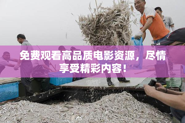 免费观看高品质电影资源，尽情享受精彩内容！