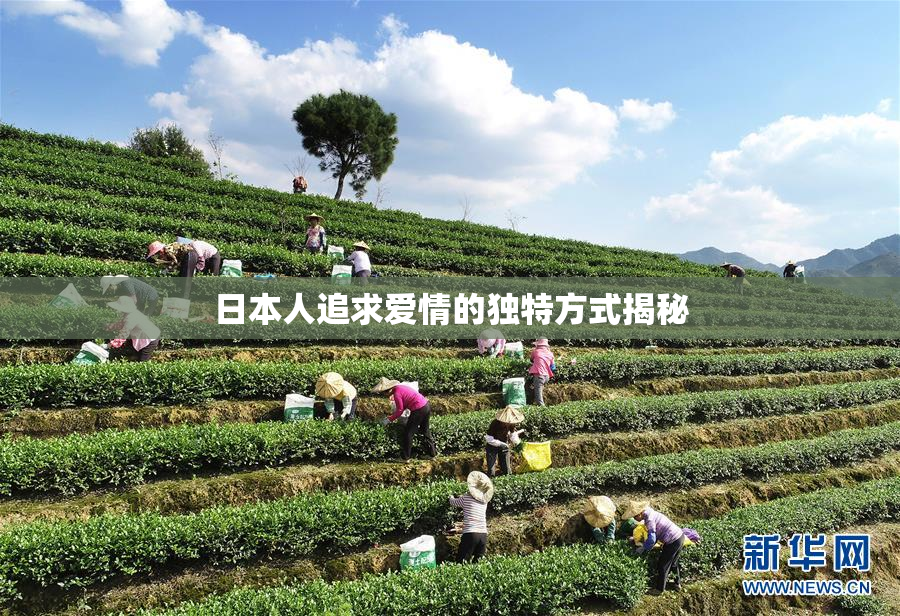 日本人追求爱情的独特方式揭秘