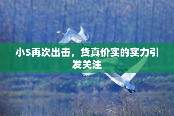 小S再次出击，货真价实的实力引发关注