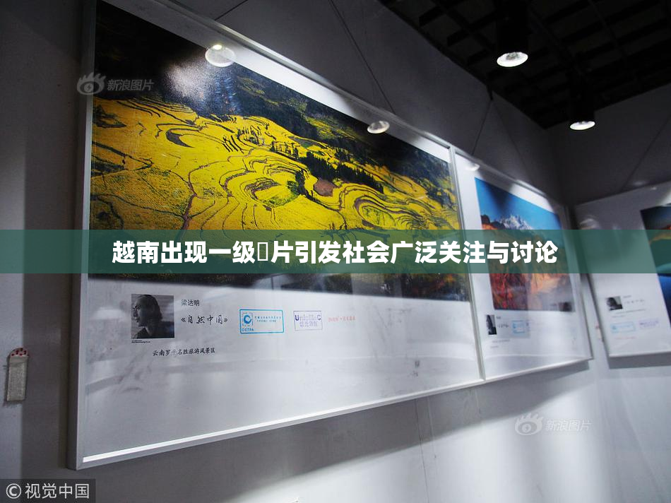 越南出现一级婬片引发社会广泛关注与讨论