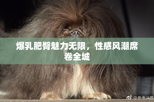 爆乳肥臀魅力无限，性感风潮席卷全城