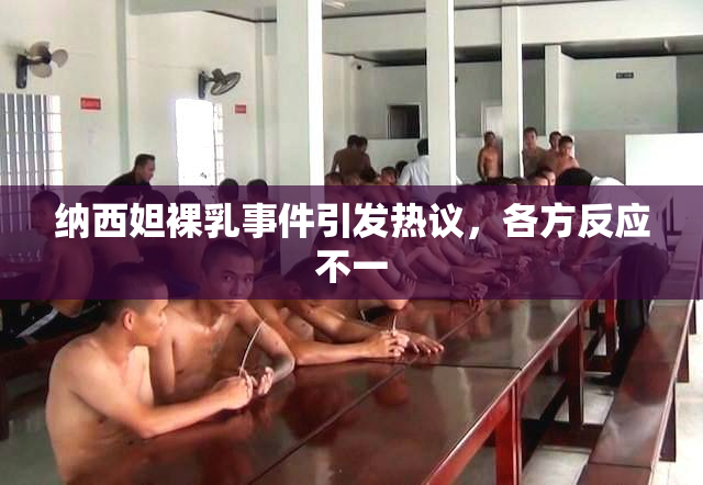 纳西妲裸乳事件引发热议，各方反应不一