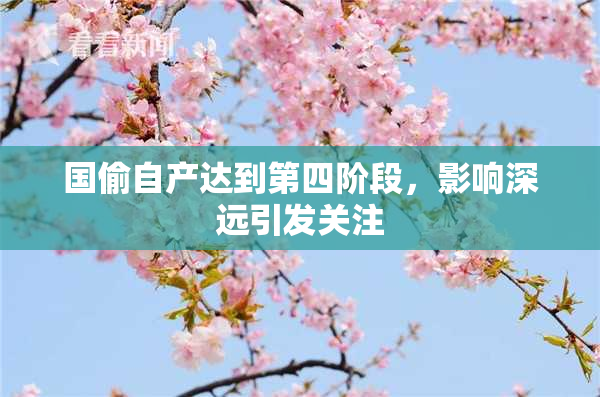 国偷自产达到第四阶段，影响深远引发关注