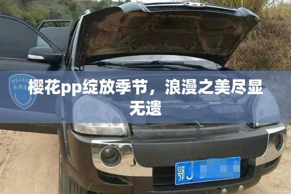 樱花pp绽放季节，浪漫之美尽显无遗