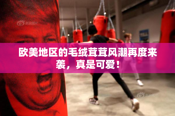 欧美地区的毛绒茸茸风潮再度来袭，真是可爱！