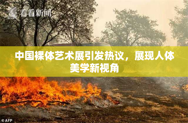 中国裸体艺术展引发热议，展现人体美学新视角