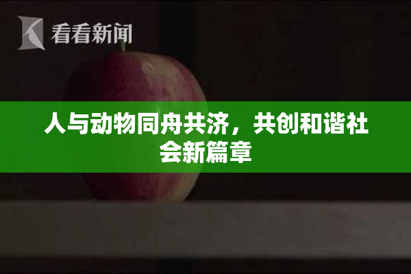 人与动物同舟共济，共创和谐社会新篇章