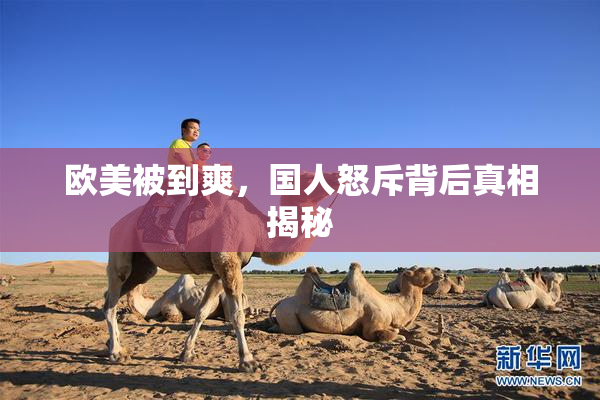 欧美被到爽，国人怒斥背后真相揭秘