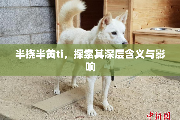 半挠半黄ti，探索其深层含义与影响