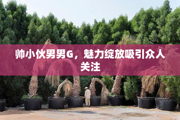 帅小伙男男G，魅力绽放吸引众人关注